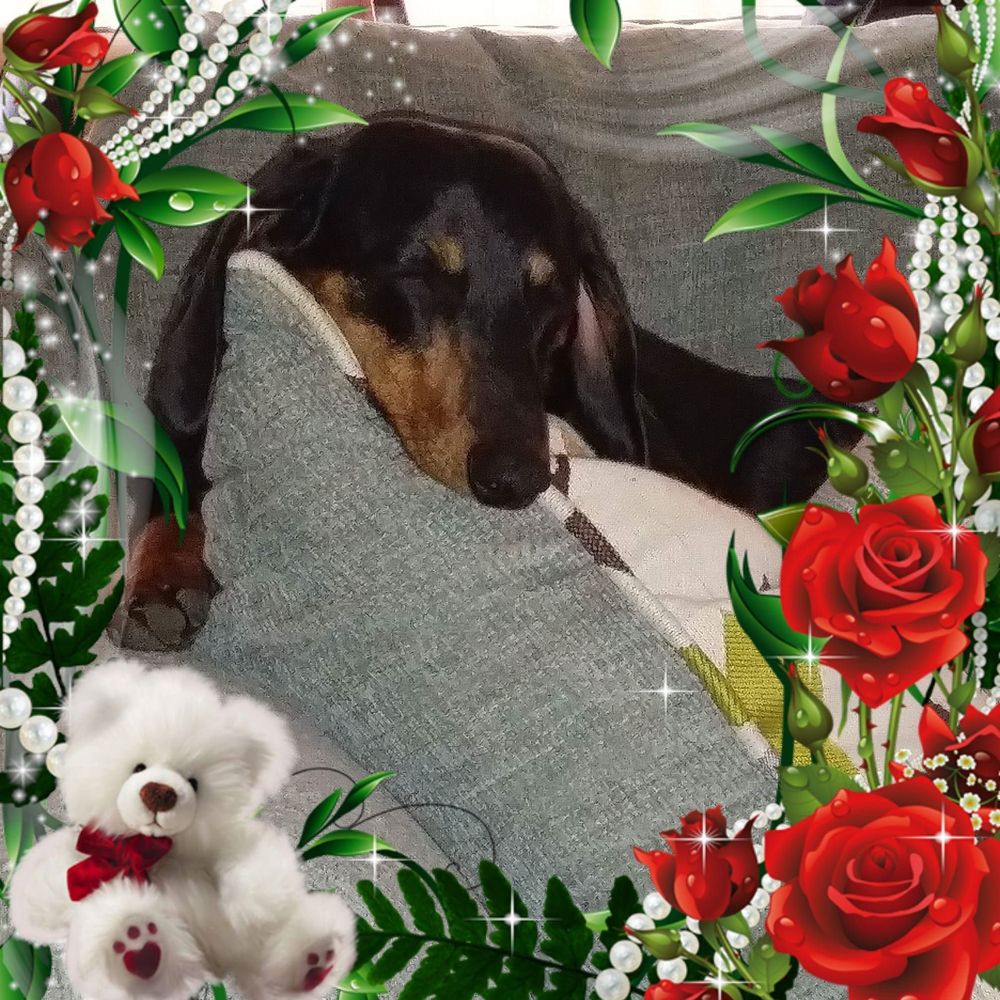 Meet your Posher, Janell